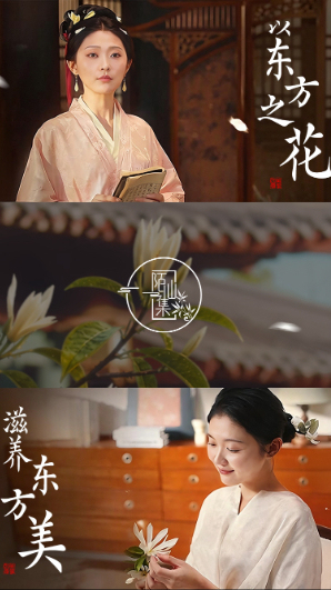 剧星传媒创意视频陌仙集品牌上市TVC