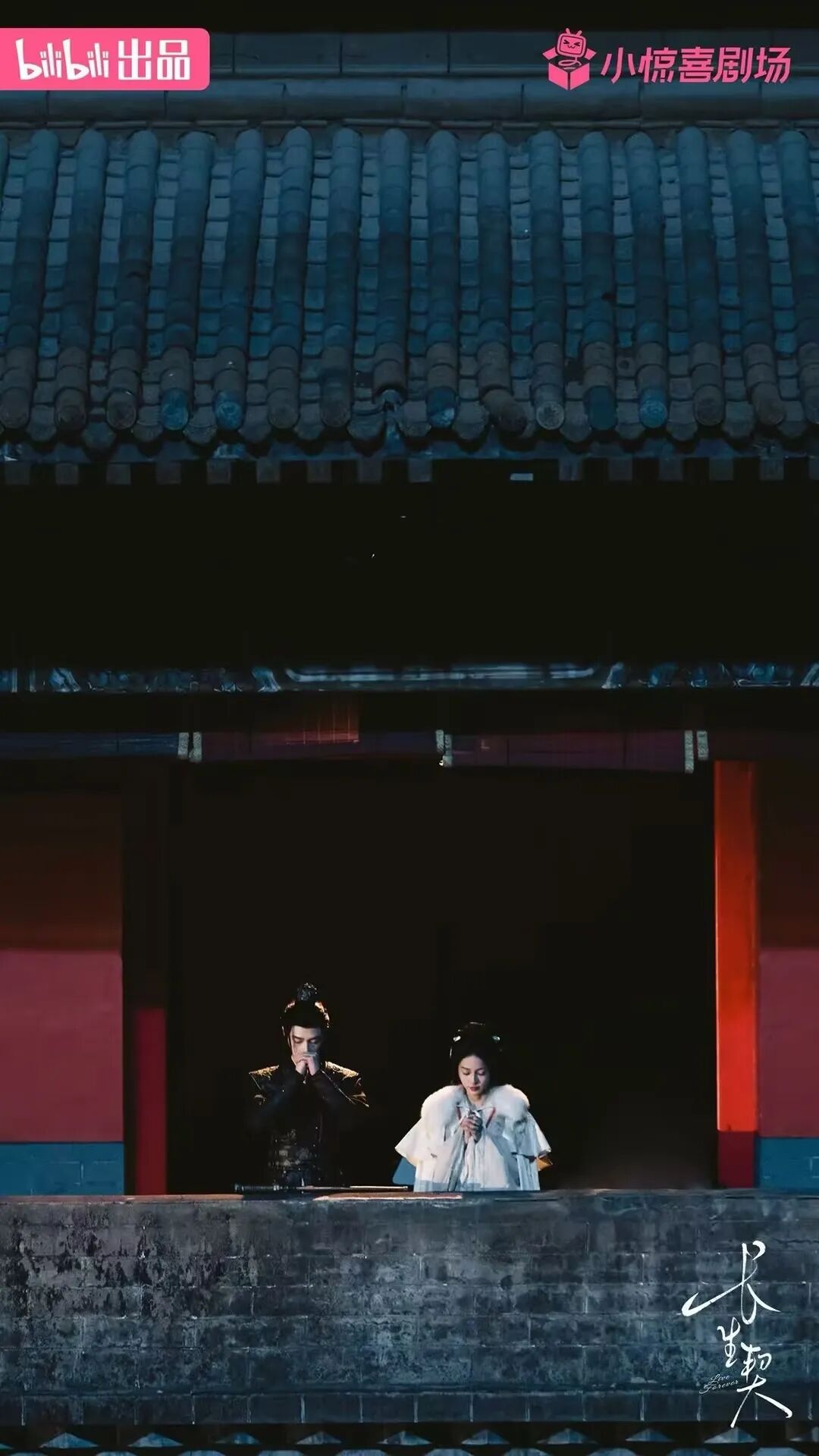 【聚焦双11】重磅剧集&平台爆款IP，看这一篇就够了！