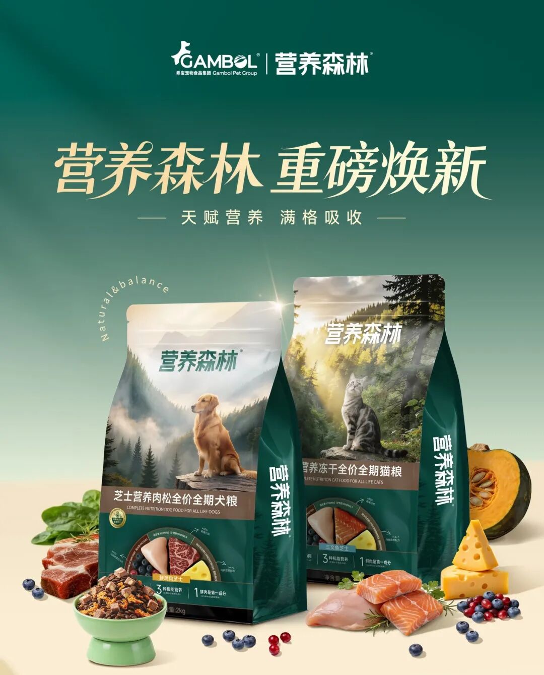 剧星传媒&times;营养森林打造巨量星图「小星AI」最佳实践案例